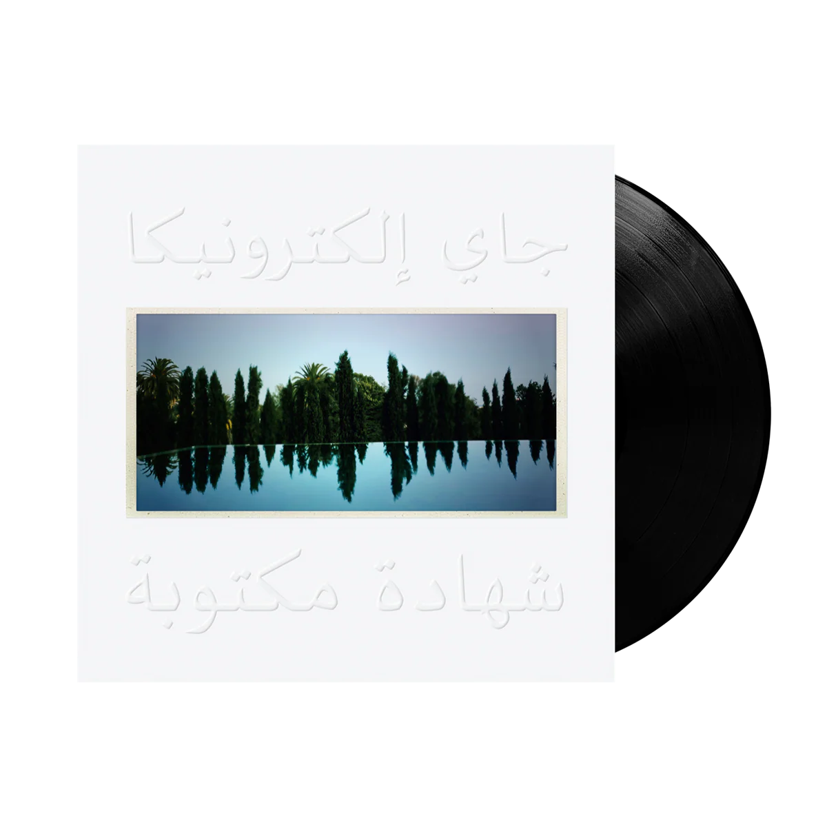 J A Y E L E C T R O N I C A: A Written Testimony - Vinyl (Black or White)