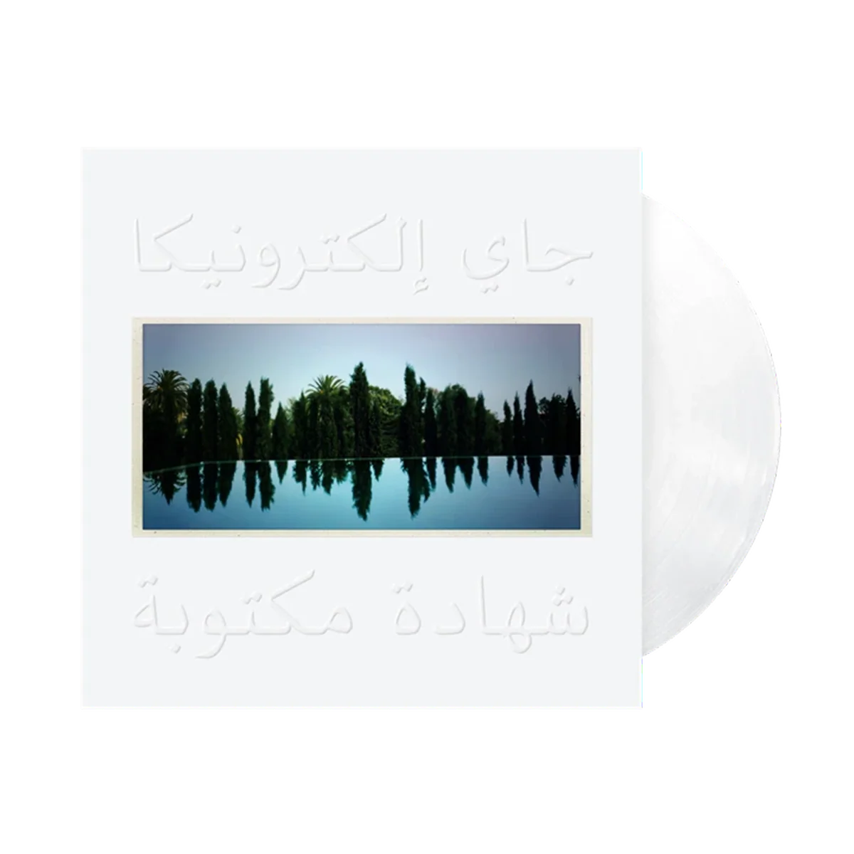 J A Y E L E C T R O N I C A: A Written Testimony - Vinyl (Black or White) - Image 2