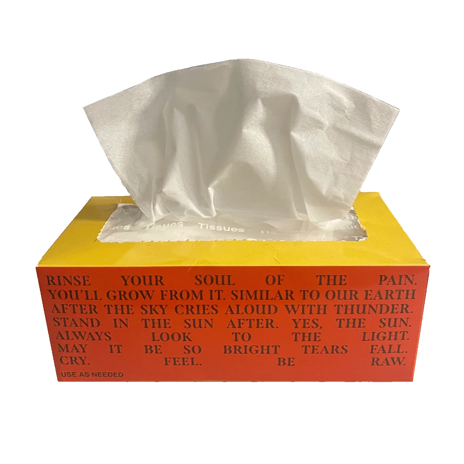 Rapsody: Please Don't Cry - Tissue Box - Image 3